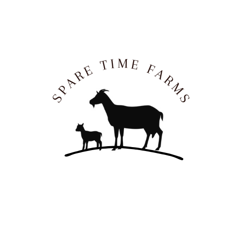 Goat Milk Soap For