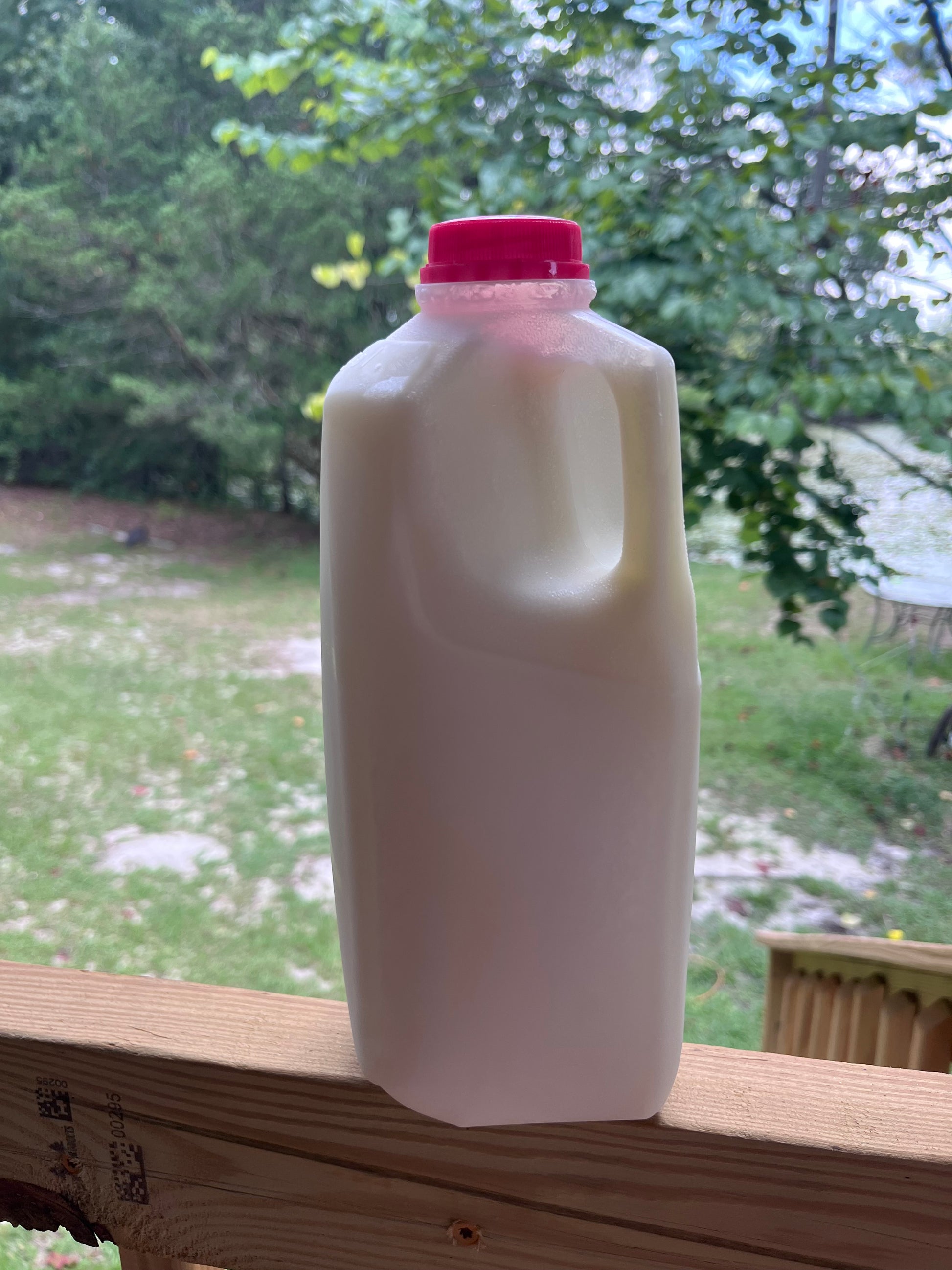 Raw Goat Milk