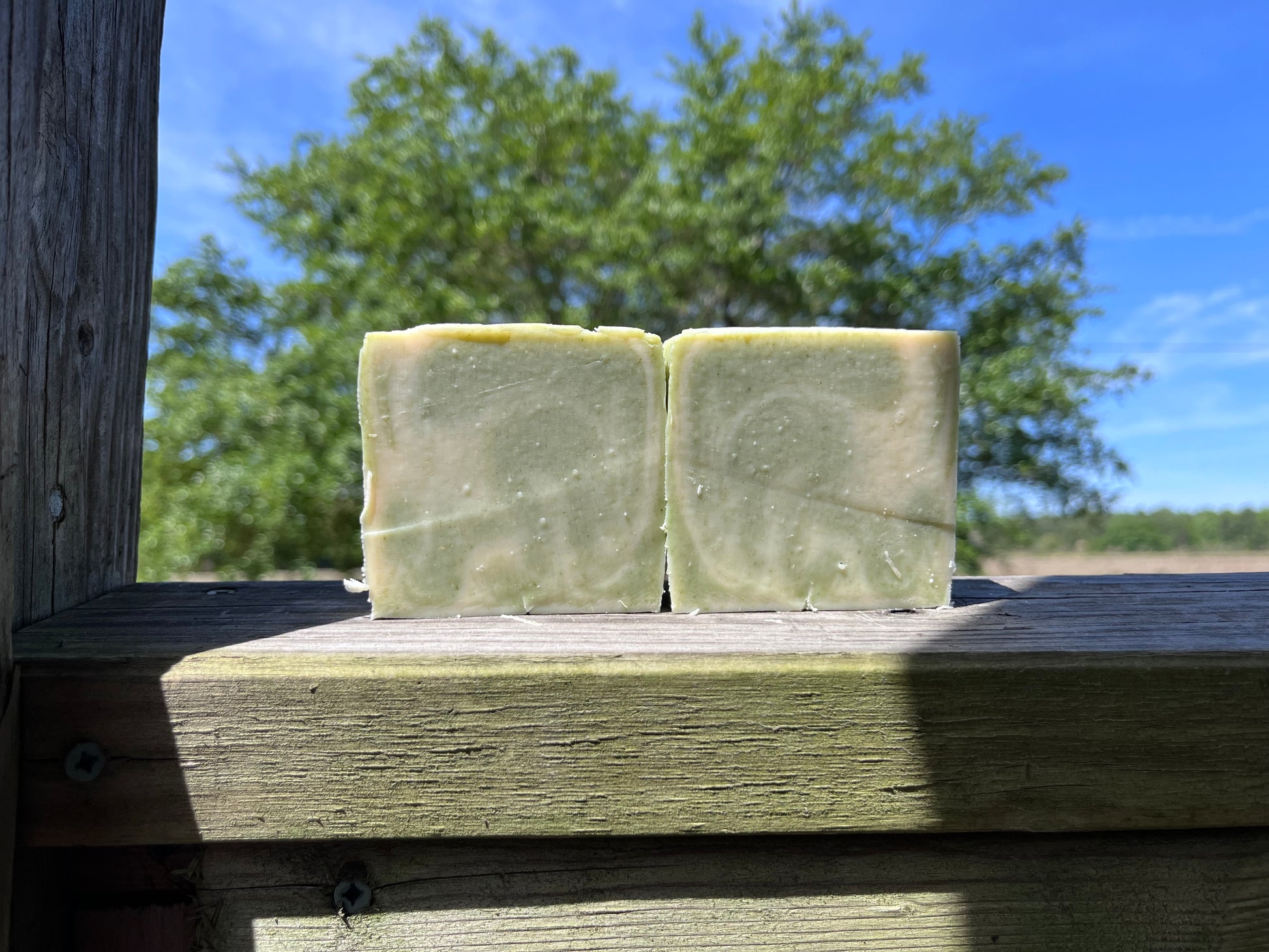 Eucalyptus Goat Milk Soap Ocilla, Georiga